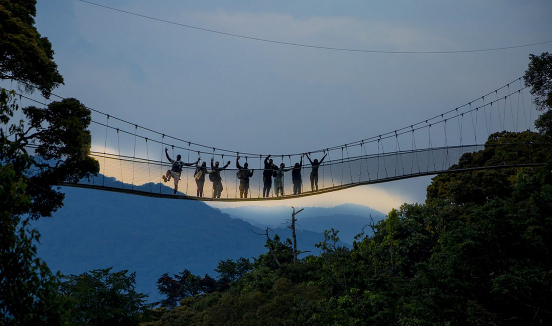 Canopy Walk in Nyungwe Forest